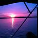 Profile Picture of Christine Brady (@thriftybrady) on Pinterest