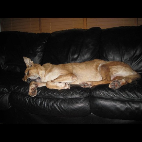 Profile Picture of Lexie Ellstrom (@lexie_ellstrom) on Poshmark