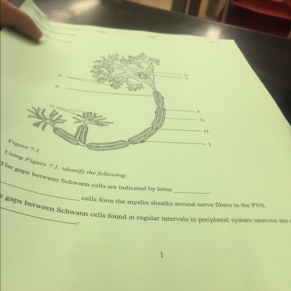 Profile Picture of Troy Richardson (@troy_rich) on Poshmark