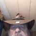 Profile Picture of Michael Stilphen (@michaelstilphen) on Pinterest
