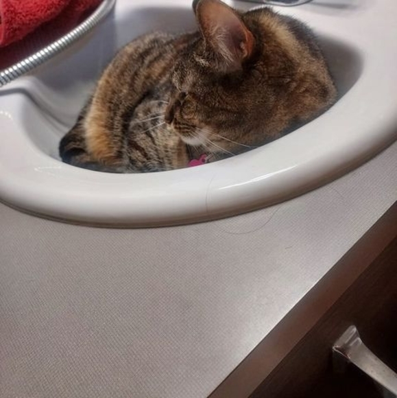 Profile Picture of Mike Andresen (@wareagle772016) on Poshmark