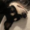 Profile Picture of melvin (@melvinster) on Tiktok