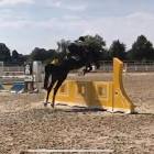 Profile Picture of   Lea🔊 (@hardcore.lover)... (@hardcore.lover) on Tiktok