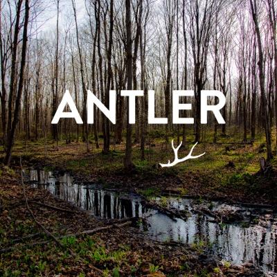 Profile Picture of Antler Kitchen • Bar (@AntlerKitchen) on Twitter