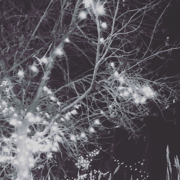 Profile Picture of Daniela Guzman (@dguz0916) on Poshmark