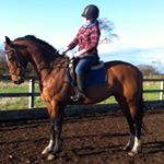 Profile Picture of Louise Robb (@louise.robb) on Instagram