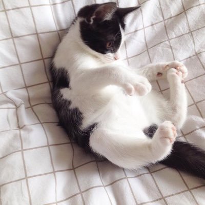 Profile Picture of Clara Goode (@VintageGoode) on Twitter