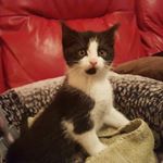 Profile Picture of Stella Fitzpatrick (@steady_eddy_1066) on Instagram