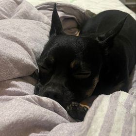 Profile Picture of Aylin Cano (@02canoaylin) on Pinterest