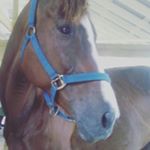 Profile Picture of Nicholas Boyce (@nicholas.boyce.921) on Instagram