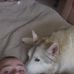 Profile Picture of Shawn Rascoe (@shawn.rascoe.39) on Facebook