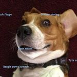 Profile Picture of johnpreda_2 (@johnpreda_2) on Instagram