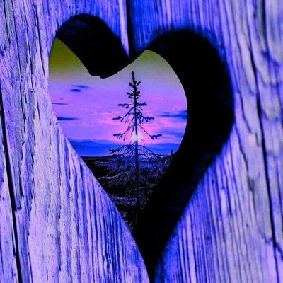 Profile Picture of Cathy (@c_haladyna) on Twitter