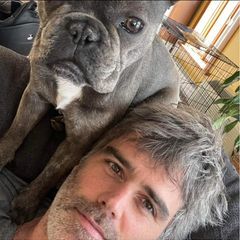 Profile Picture of vincentguillemet8 (@vincentguillemet8) on Tiktok