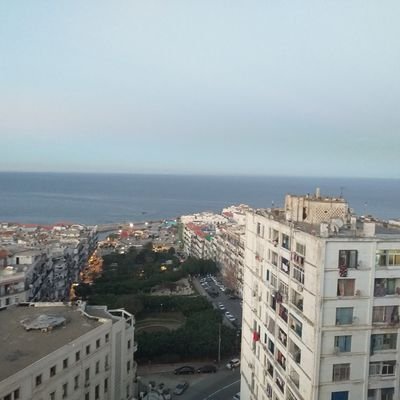 Profile Picture of Daniel Sylva (@DanielS24051322) on Twitter