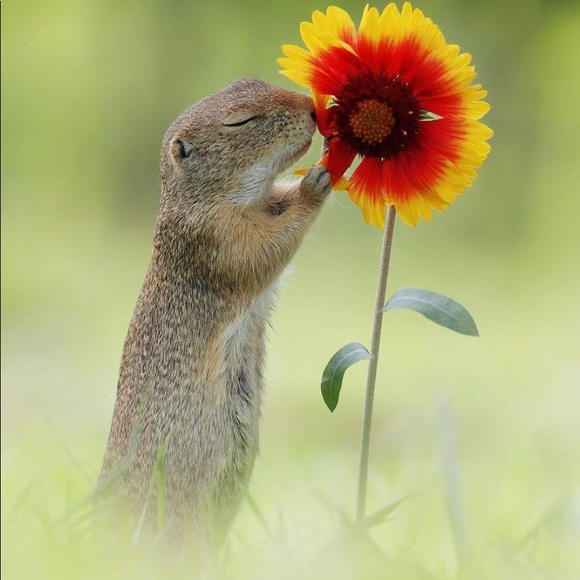 Profile Picture of Kim Gillen (@gavmad) on Poshmark