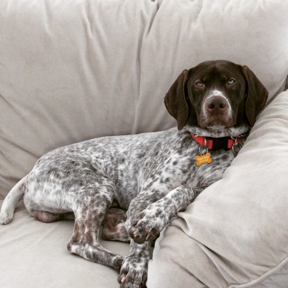 Profile Picture of Dan Klicka (@dklick01) on Poshmark