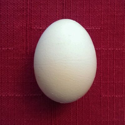 Profile Picture of Steven Metz (@smetz42) on Twitter