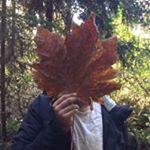 Profile Picture of Omar Kassem (@okassem92) on Instagram