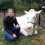 Profile Picture of Lauren Engeman (@absolutely_aggie) on Instagram