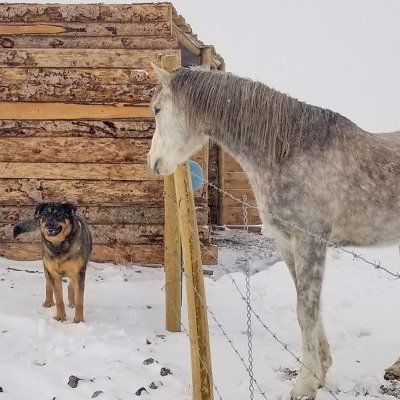 Profile Picture of Kevin Hillman (@Kev1nHillman) on Twitter