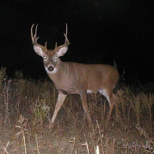 Profile Picture of Jerry Wigginton (@badboybuggy) on Myspace