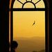 Profile Picture of Zeinab Mohamed (@zozomohamed7724) on Pinterest
