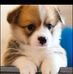 Profile Picture of Sarvi (@Sarvi) on Facebook
