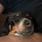 Profile Picture of Brent Klingensmith (@bklingensmith) on Instagram