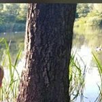 Profile Picture of Phillip Conrad (@why.you.baum.me.bln) on Instagram