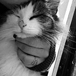 Profile Picture of Paula Miller (@paulla_miller30) on Instagram