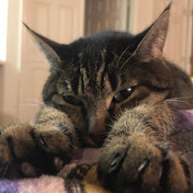 Profile Picture of Jennifer Haskell (@jenniferhaskell3689) on Youtube