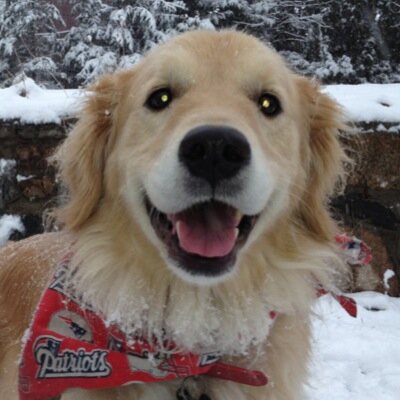 Profile Picture of Keith Dion (@FHDad2016) on Twitter