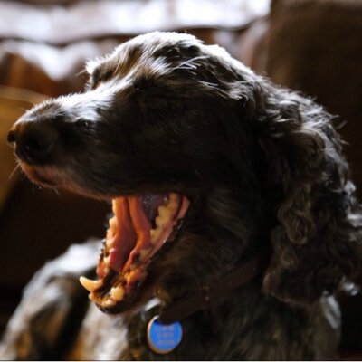 Profile Picture of Ben Holmes ☁ (@Bensedits) on Twitter