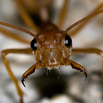 Profile Picture of Who Is Dilbert (@who is dilbert) on Flickr