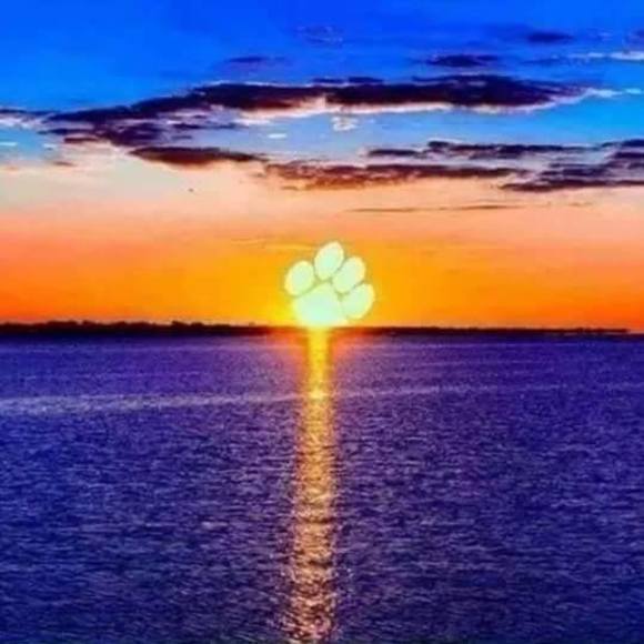 Profile Picture of Cal Stillinger (@calstillinger) on Poshmark