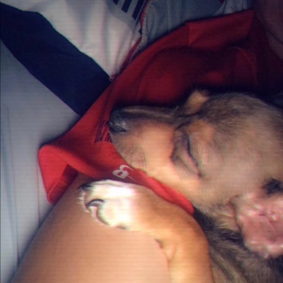 Profile Picture of Hunter Preston (@hunter5871) on Poshmark