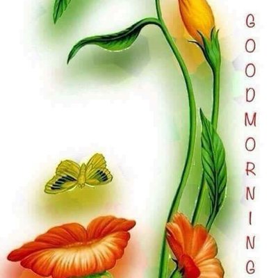 Profile Picture of Magdy Mikhail (@Mmikhail111) on Twitter