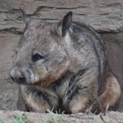 Profile Picture of Steve Booth (@stebooth1) on Youtube