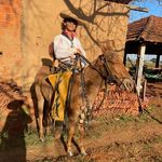 Profile Picture of Alex Oliveira (@o_oliveira_uai) on Instagram