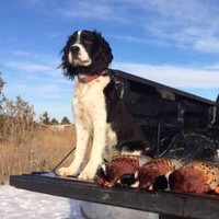 Profile Picture of Sidney Springers (@sidney-springers) on Quora