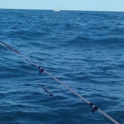 Profile Picture of Tarekhamed (@TarekHamed30) on Twitter