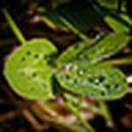 Profile Picture of Paula Villafranca Pem?n (@Paula Villafranca Pem?n) on Flickr