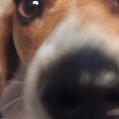 Profile Picture of Maya Chan (@420mayachan) on Twitter