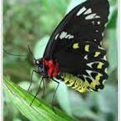 Profile Picture of Miranda Jo Pruett (@MirandaPruett) on Twitter