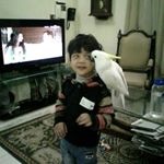 Profile Picture of Haroon Abdullah (@haroonabdullah45615) on Instagram