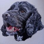 Profile Picture of Paul Slavin (@paulslavi) on Instagram