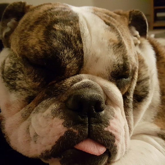 Profile Picture of Sharleen Smith (@sharleen63) on Poshmark