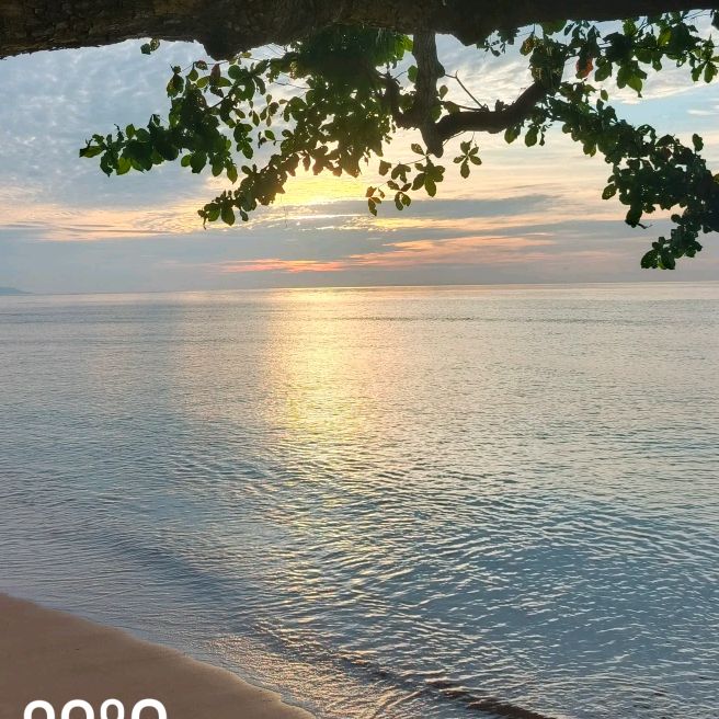 Profile Picture of Miceal (@michaelkaseunaung) on Tiktok