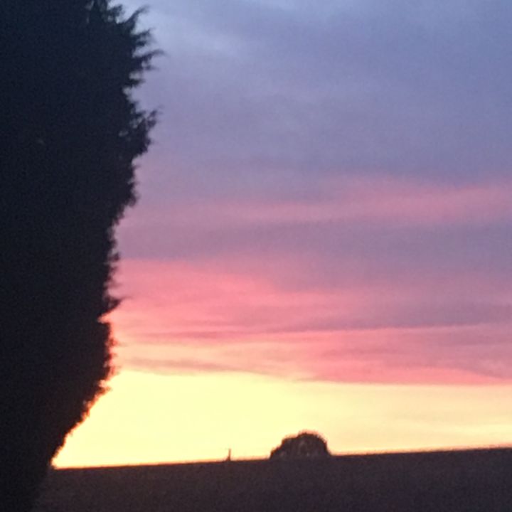 Profile Picture of connerhaynes (@connerhaynes) on Tiktok